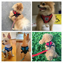 Pet Adjustable Polyester Harness & Leash for Small Dogs, Puppies cats.