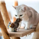 Cat Toy Interactive Bird with Flapping Wings and Chirping Sound