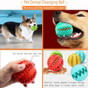 Dog Toy Ball with Treat Dispenser, Durable Rubber, Chew-Resistant, Dental Cleaning for Pets