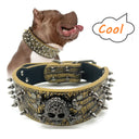 Spiked Studded Leather Dog Collar, Cool Rivet for cat and pet Training