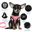 Pet Adjustable Polyester Harness & Leash for Small Dogs, Puppies cats.