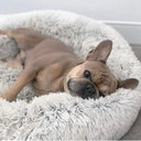 Pet Round Plush Sofa Bed - Calming Comfort for Dogs & Cats