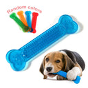 Hot Sale Pet Dog Chew Toys Rubber Bone Toy Aggressive Dog Toothbrush